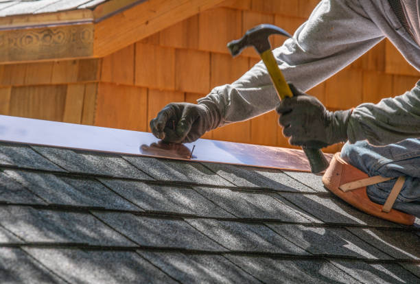 Best Roof Maintenance and Cleaning  in Vassar, MI