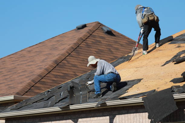 Best Green or Eco-Friendly Roofing Solutions  in Vassar, MI