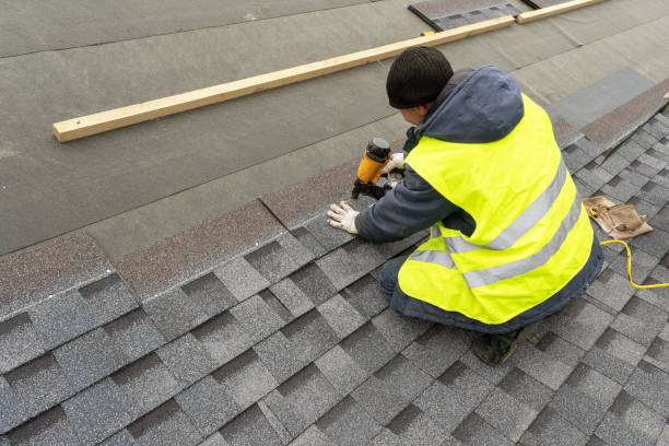 Best Storm Damage Roof Repair  in Vassar, MI