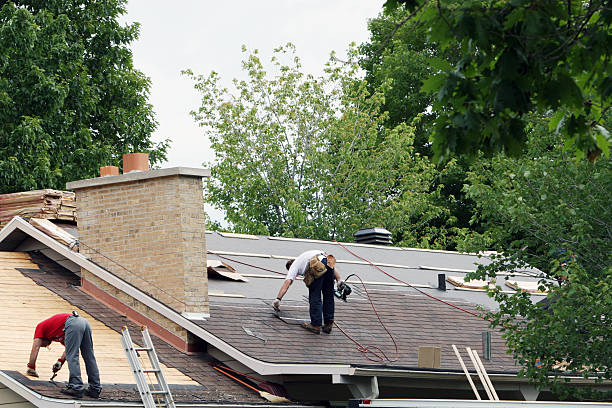 Fast & Reliable Emergency Roof Repairs in Vassar, MI