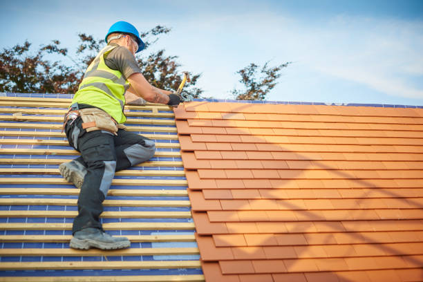 Best Hot Roofs  in Vassar, MI